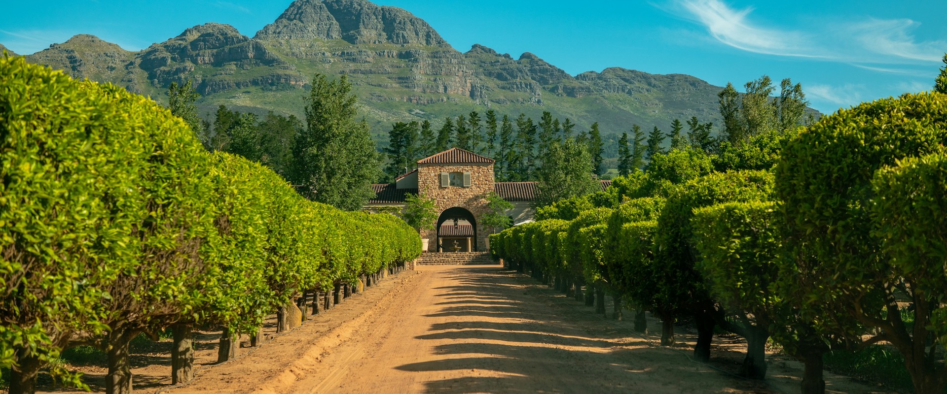 Wine Tasting Tour