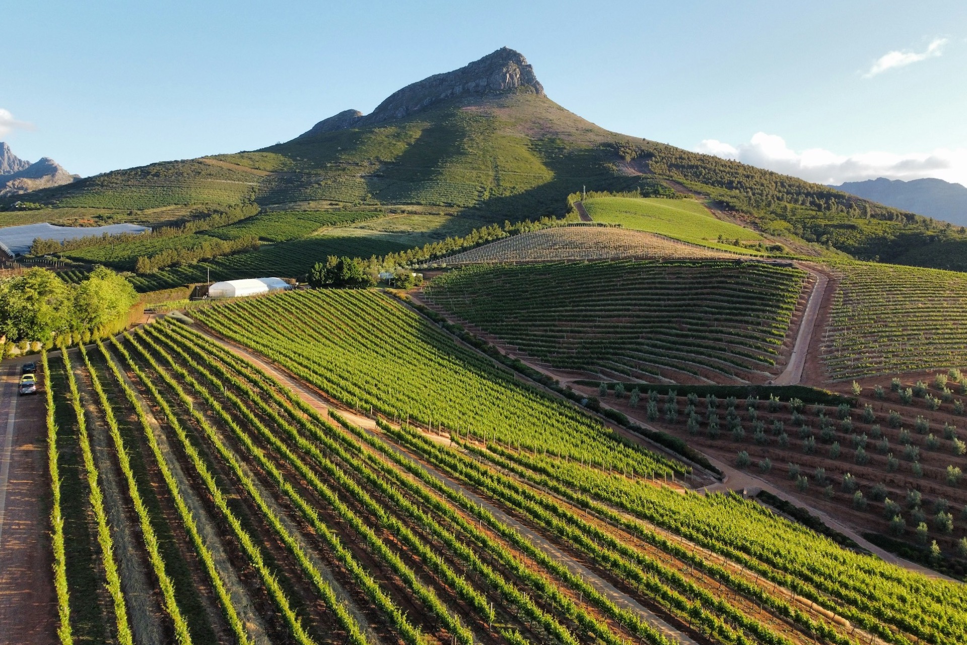 Winelands Overnight